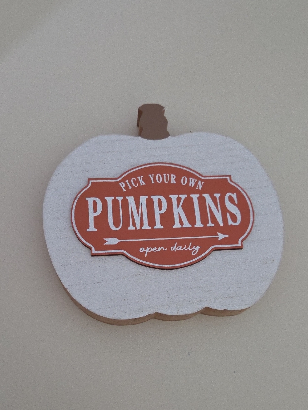Fall Decor - Picture 3 of 3